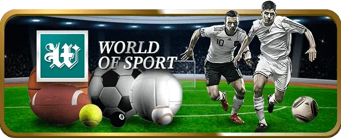 Trận đấu đá gà kịch tính trong một đấu trường tại Combet